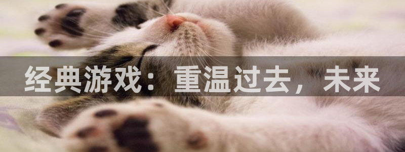 辉达娱乐官网