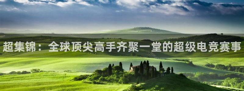 辉达娱乐平台官方网站：超集锦：全球顶尖高手齐聚一堂的超级电竞