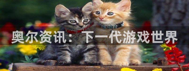 辉达娱乐娱乐：奥尔资讯：下一代游戏世界