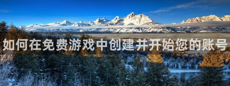 辉达娱乐平台官网入口