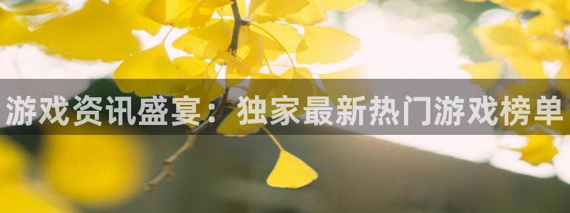 辉达娱乐平台注册资金多少：游戏资讯盛宴：独家最新热门游戏榜单