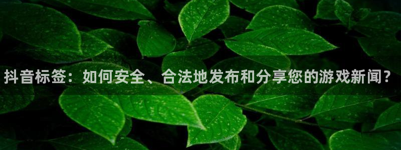 辉达娱乐官网登录：抖音标签：如何安全、合法地发布和分享您的游