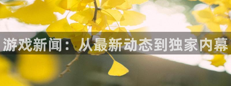 辉达娱乐注册测速：游戏新闻：从最新动态到独家内幕