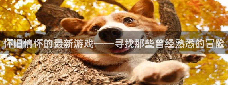 辉达娱乐登录地址：怀旧情怀的最新游戏——寻找那些曾经熟悉的冒