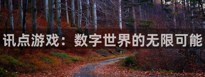 辉达娱乐线路测试：讯点游戏：数字世界的无限可能