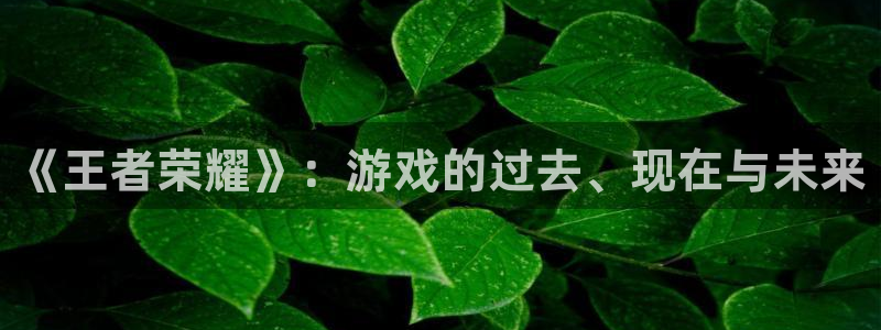 辉达娱乐升级5994月：《王者荣耀》：游戏的过去、现在与未来