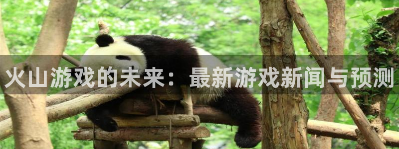 辉达娱乐什么意思：火山游戏的未来：最新游戏新闻与预测