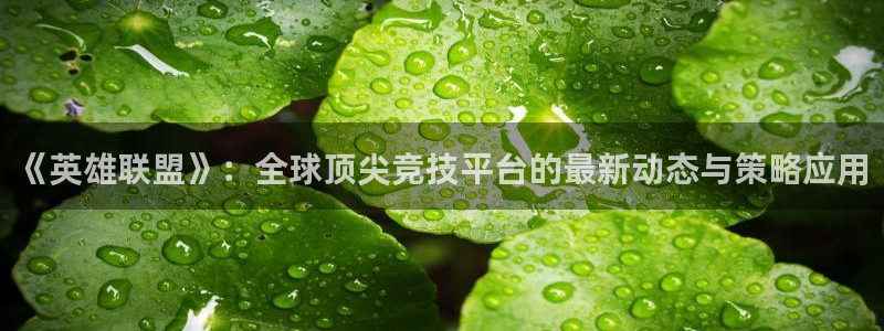 辉达娱乐什么意思：《英雄联盟》：全球顶尖竞技平台的最新动态与