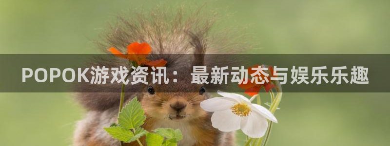 辉达娱乐登陆测速：POPOK游戏资讯：最新动态与娱乐乐趣