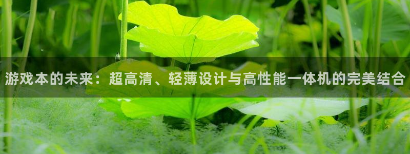 辉达娱乐平台登录入口：游戏本的未来：超高清、轻薄设计与高性能