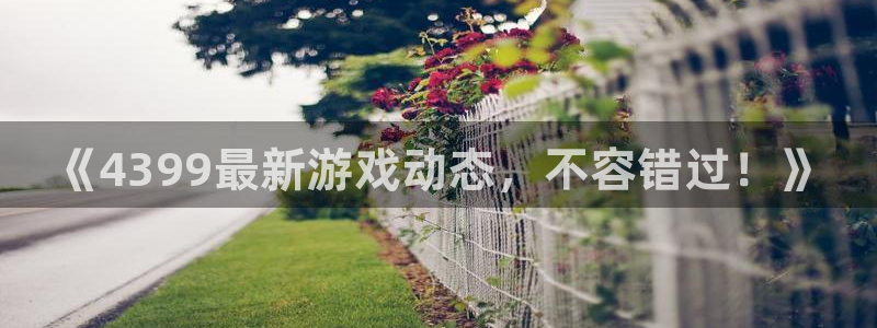 辉达娱乐平台官网客服电话：《4399最新游戏动态，不容错过！