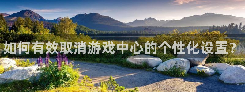 辉达娱乐科技：如何有效取消游戏中心的个性化设置？